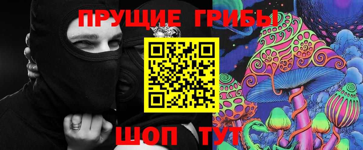 Псилоцибиновые грибы GOLDEN TEACHER Владикавказ