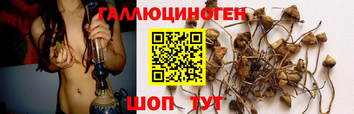 Псилоцибиновые грибы мухоморы  Псилоцибиновые грибы Psilocybe  Владикавказ  Вход с VPN 